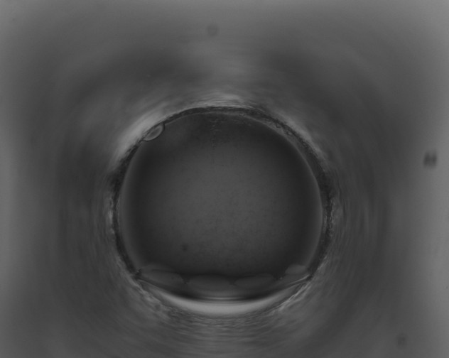 X0000093491455200710191217