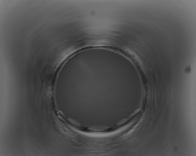 X0000093491457200710191217