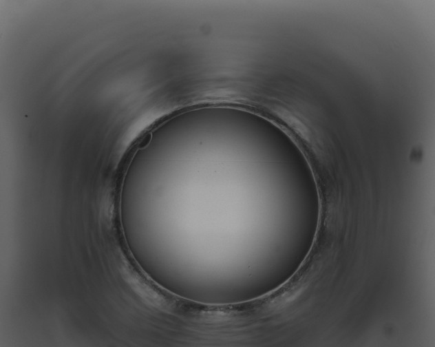 X0000093491458200710191217