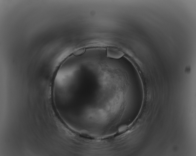 X0000093491459200710191217