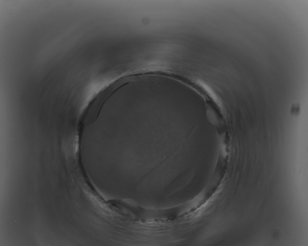 X0000093491461200710191217
