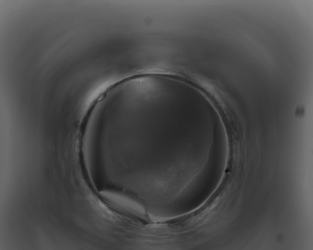 X0000093491463200710191217