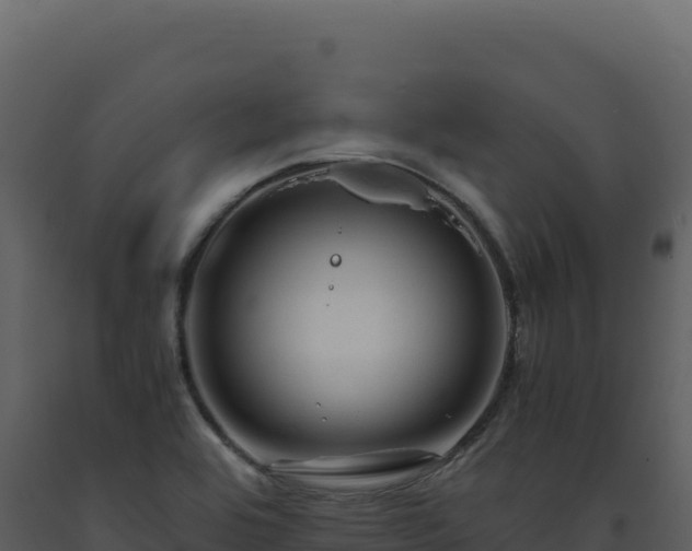 X0000093491464200710191217