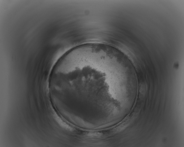 X0000093491466200710191217