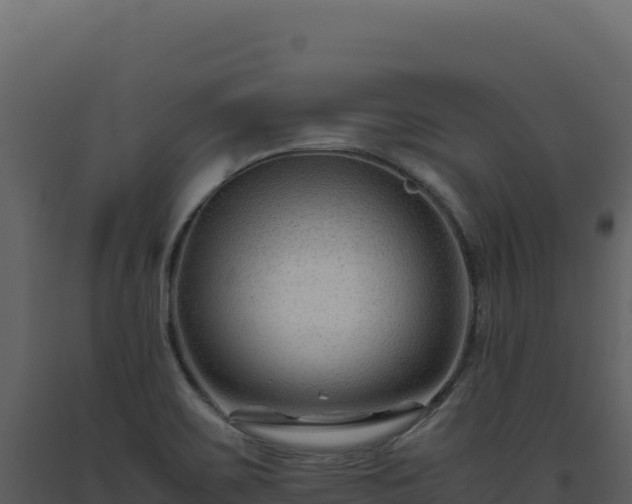 X0000093491467200710191217