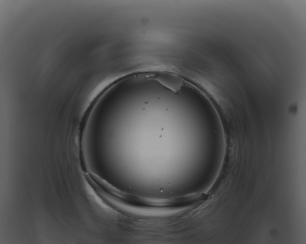 X0000093491468200710191217