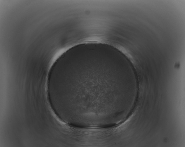 X0000093491469200710191217