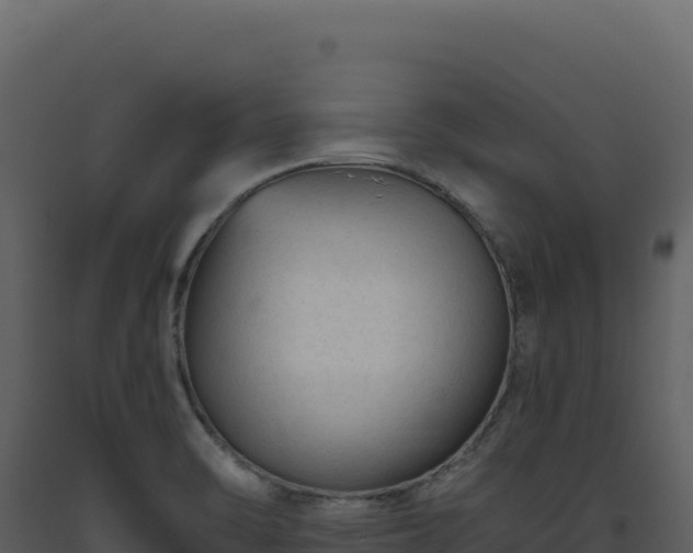 X0000093491470200710191217