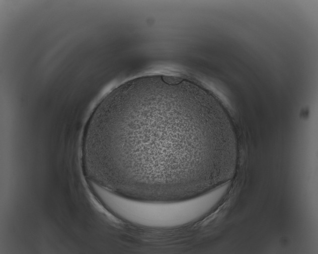 X0000093491471200710191217