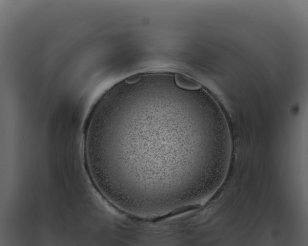 X0000093491472200710191217