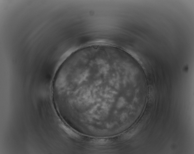 X0000093491474200710191217