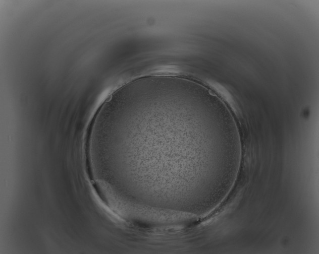 X0000093491475200710191217