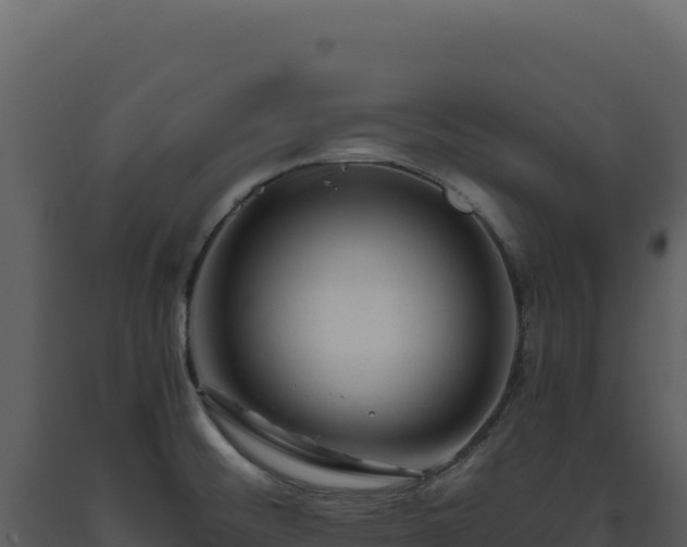 X0000093491476200710191217