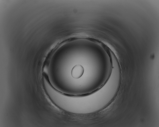 X0000093491477200710191217
