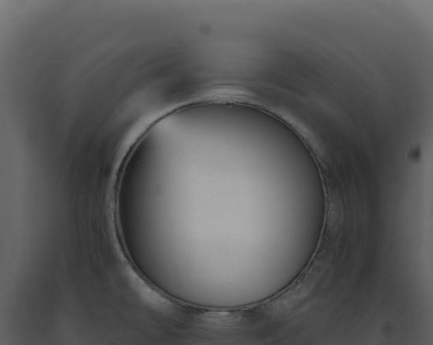 X0000093491478200710191217