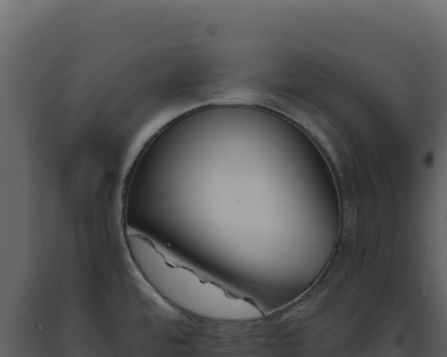 X0000093491480200710191217