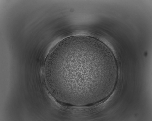 X0000093491481200710191217