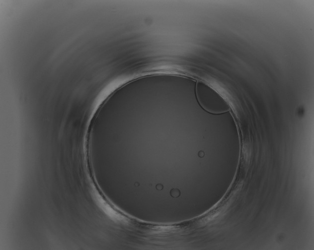 X0000093491482200710191217