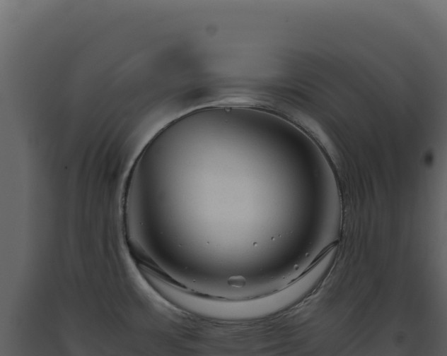 X0000093491483200710191217