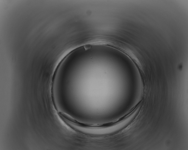 X0000093491484200710191217