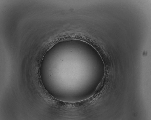 X0000093491489200710191216