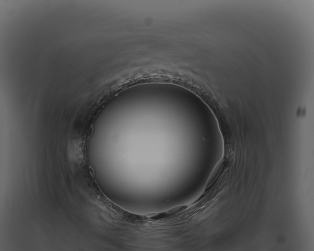 X0000093491490200710191216