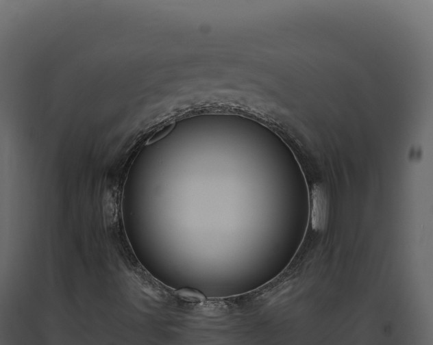X0000093491491200710191216