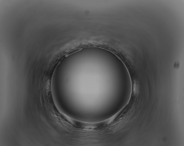 X0000093491492200710191216