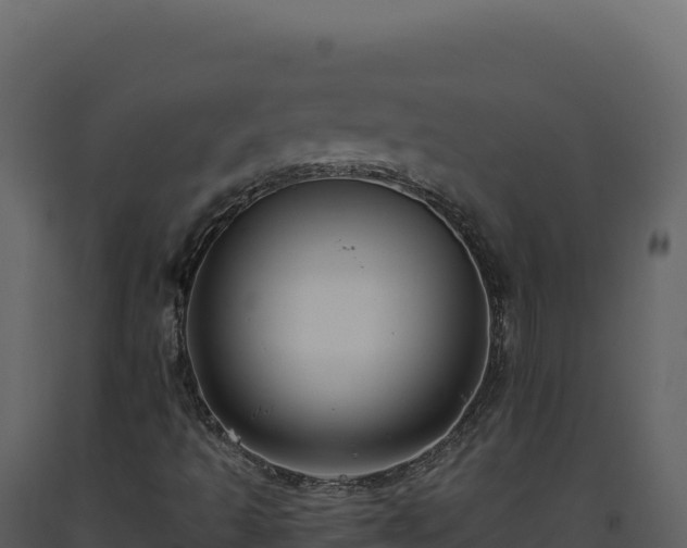 X0000093491493200710191216