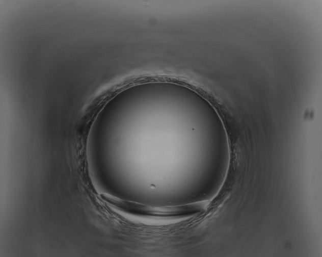 X0000093491494200710191216