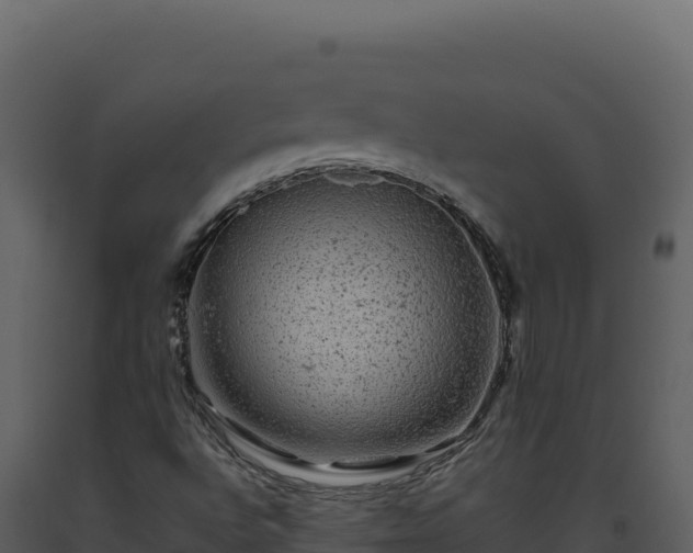 X0000093491496200710191216