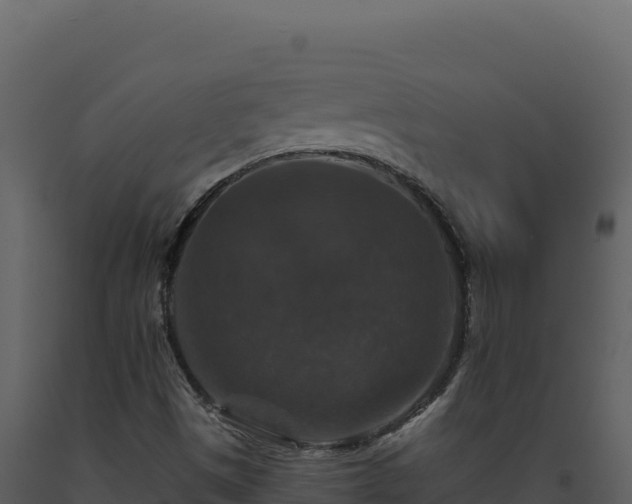 X0000093491497200710191216
