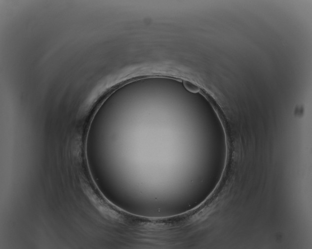 X0000093491499200710191216