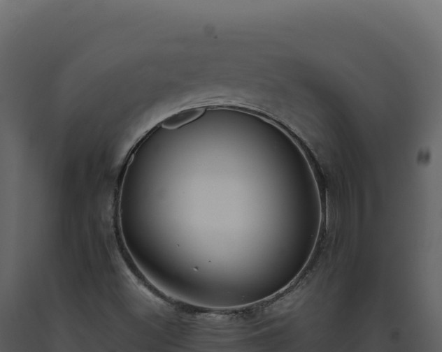 X0000093491500200710191216