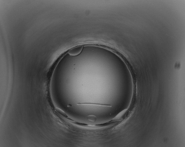 X0000093491501200710191216