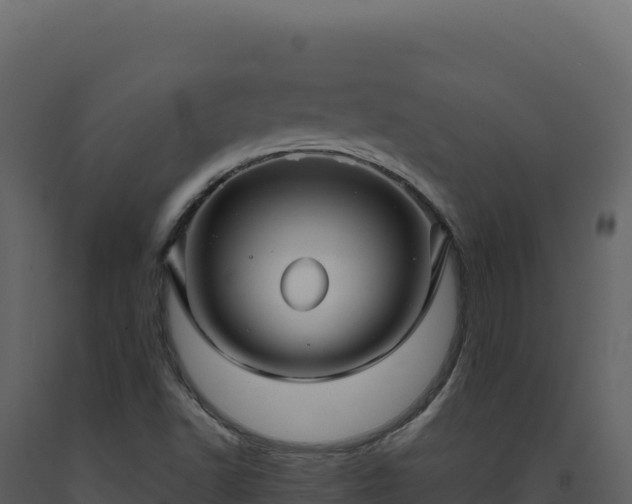 X0000093491502200710191216