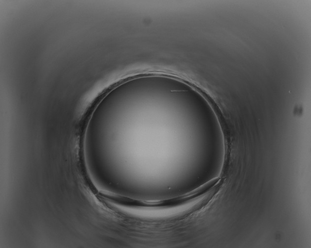 X0000093491503200710191216