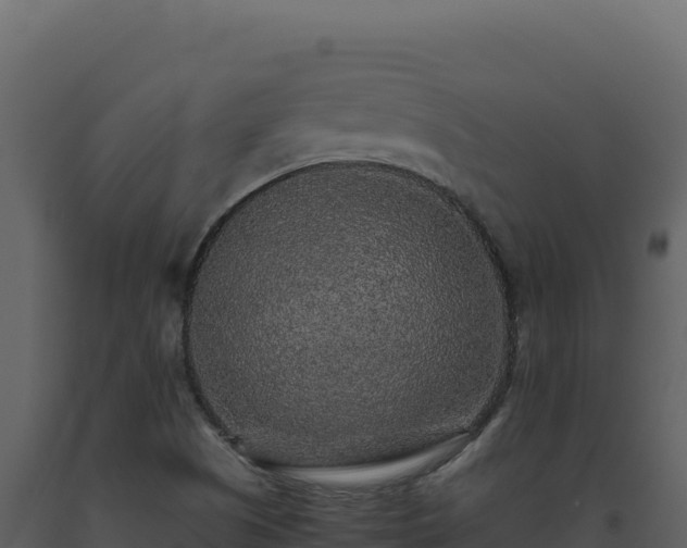 X0000093491505200710191216