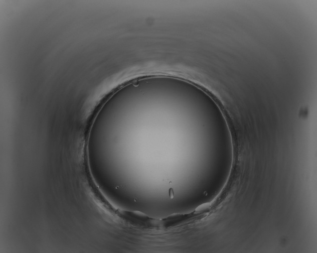 X0000093491507200710191216