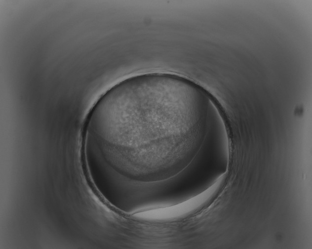 X0000093491508200710191216