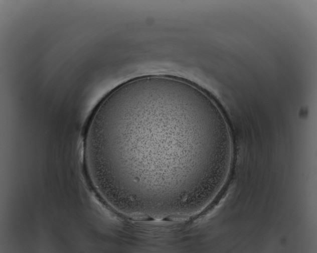 X0000093491509200710191216