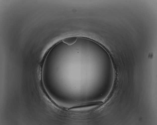 X0000093491510200710191216