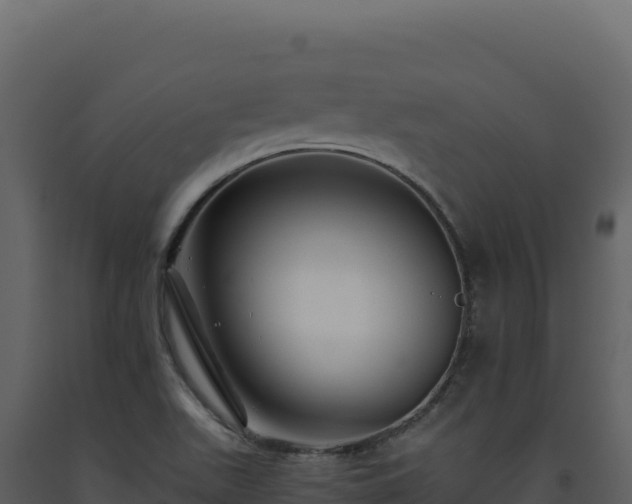 X0000093491511200710191216