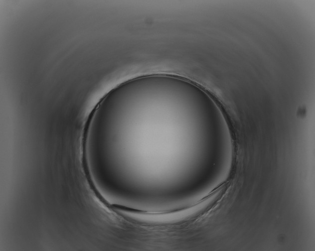 X0000093491512200710191216