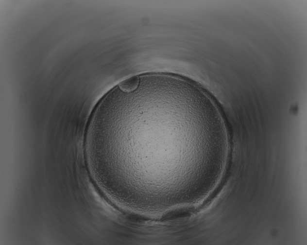X0000093491513200710191216