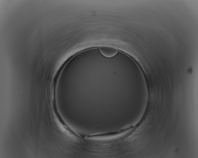 X0000093491515200710191216