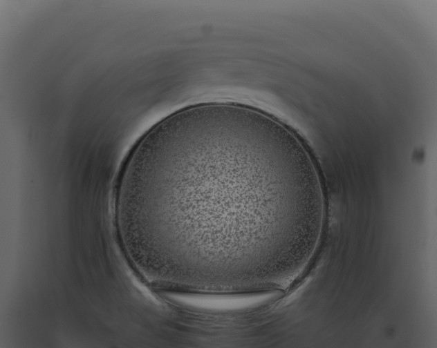 X0000093491517200710191216
