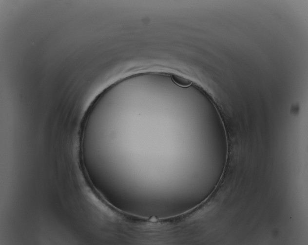 X0000093491518200710191216