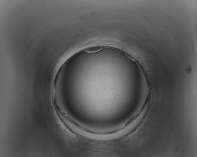 X0000093491520200710191216
