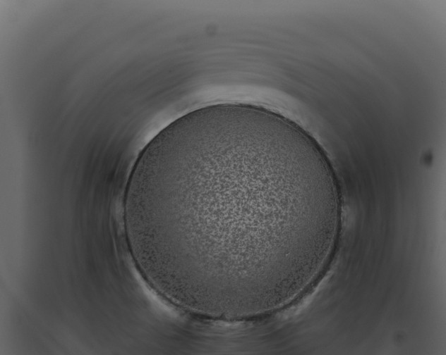 X0000093491521200710191217